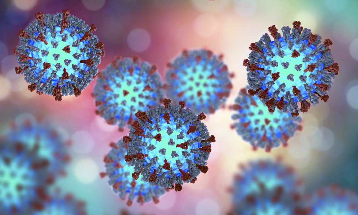 Measles viruses. 3D illustration showing structure of measles virus with surface glycoprotein spikes heamagglutinin-neuraminidase and fusion protein